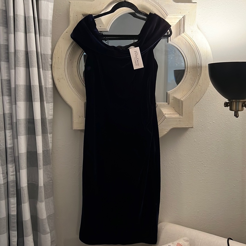 Stunning Navy Velvet Dress (nWT)